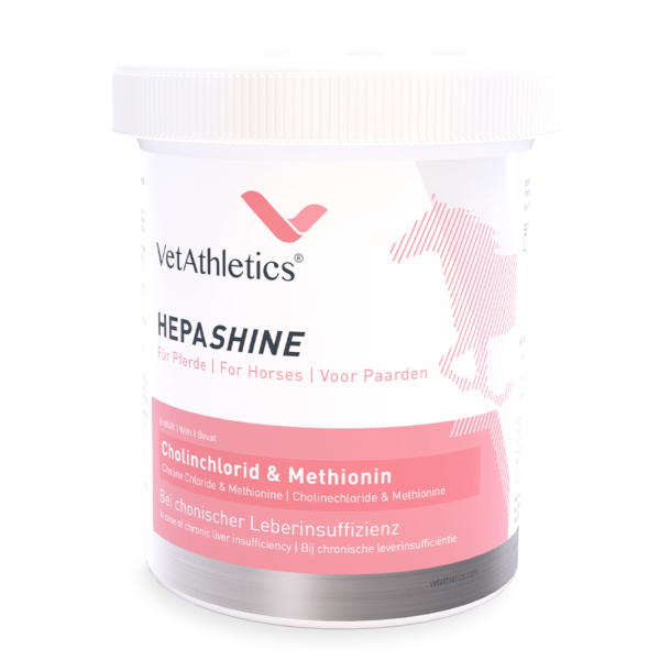 HEPASHINE - voor paarden